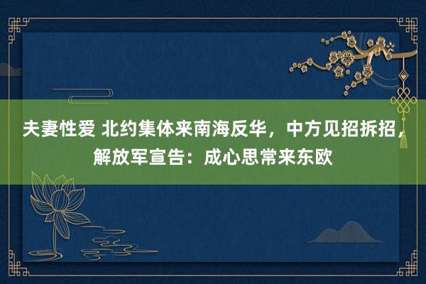 夫妻性爱 北约集体来南海反华，中方见招拆招，解放军宣告：成心思常来东欧