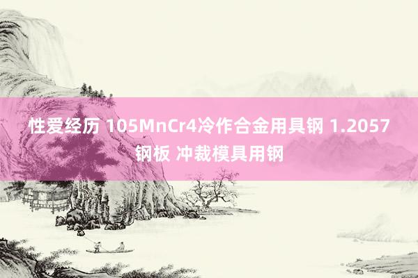 性爱经历 105MnCr4冷作合金用具钢 1.2057钢板 冲裁模具用钢