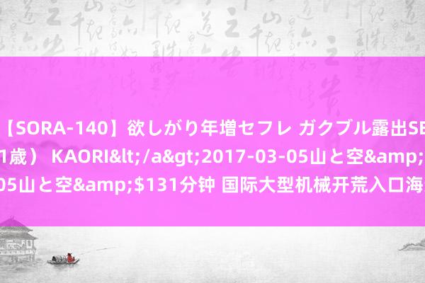 【SORA-140】欲しがり年増セフレ ガクブル露出SEX かおりサン（41歳） KAORI</a>2017-03-05山と空&$131分钟 国际大型机械开荒入口海运订舱运载