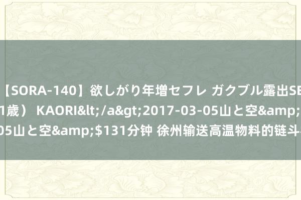 【SORA-140】欲しがり年増セフレ ガクブル露出SEX かおりサン（41歳） KAORI</a>2017-03-05山と空&$131分钟 徐州输送高温物料的链斗机厂家供应