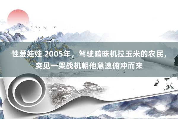 性爱娃娃 2005年，驾驶暗昧机拉玉米的农民，突见一架战机朝他急速俯冲而来