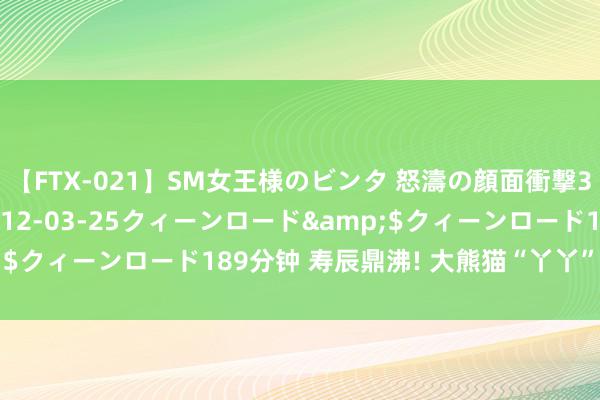 【FTX-021】SM女王様のビンタ 怒濤の顔面衝撃3時間</a>2012-03-25クィーンロード&$クィーンロード189分钟 寿辰鼎沸! 大熊猫“丫丫”今天24岁了