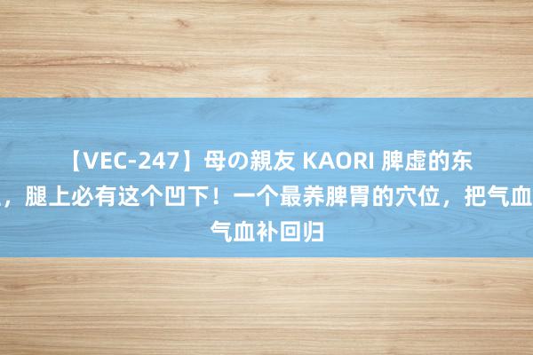 【VEC-247】母の親友 KAORI 脾虚的东说念主，腿上必有这个凹下！一个最养脾胃的穴位，把气血补回归