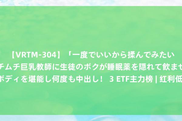 【VRTM-304】「一度でいいから揉んでみたい！」はち切れんばかりのムチムチ巨乳教師に生徒のボクが睡眠薬を隠れて飲ませて、夢の豊満ボディを堪能し何度も中出し！ 3 ETF主力榜 | 红利低波ETF基金(515300)主力资金净流出976.15万元，居全市集第一梯队