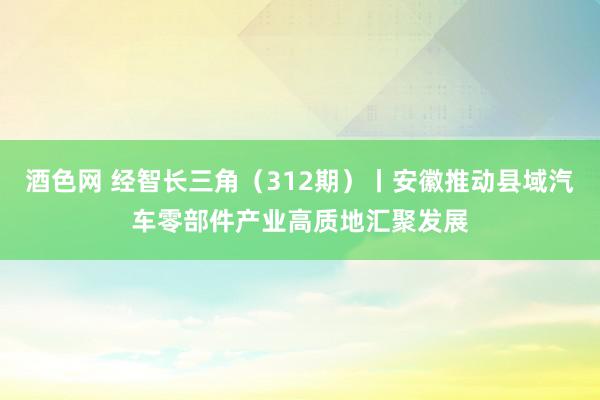 酒色网 经智长三角（312期）丨安徽推动县域汽车零部件产业高质地汇聚发展