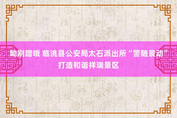 呦剐蹭哦 临洮县公安局太石派出所“警随景动”打造和谐祥瑞景区