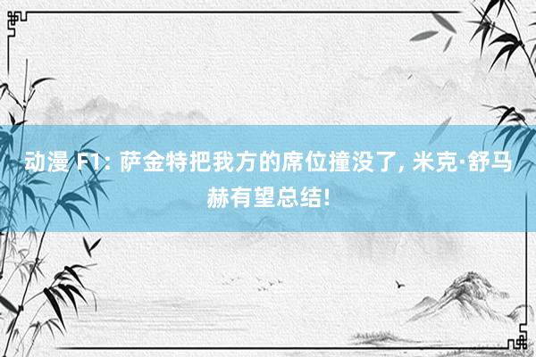 动漫 F1: 萨金特把我方的席位撞没了, 米克·舒马赫有望总结!