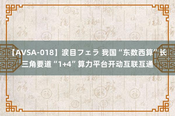 【AVSA-018】涙目フェラ 我国“东数西算”长三角要道“1+4”算力平台开动互联互通