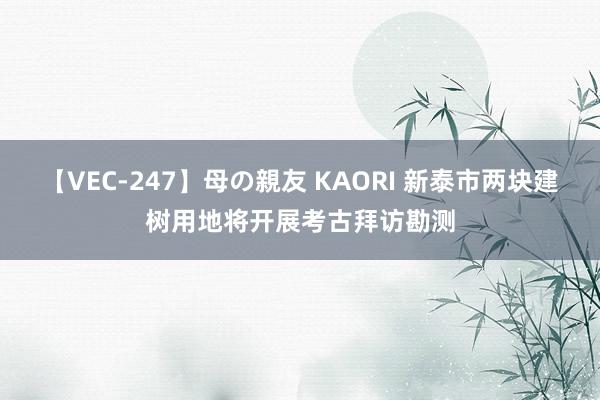 【VEC-247】母の親友 KAORI 新泰市两块建树用地将开展考古拜访勘测