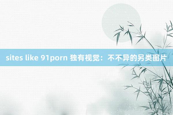 sites like 91porn 独有视觉：不不异的另类图片